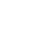 icons8 google 100